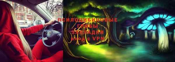 гидра Алексин