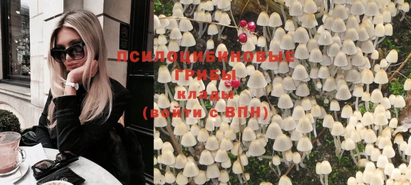 прущий лед Алексеевка