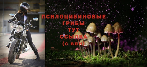 прущий лед Алексеевка