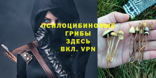 скорость Алзамай