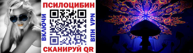 даркнет официальный сайт  гидра зеркало  Чадан  Галлюциногенные грибы мицелий 